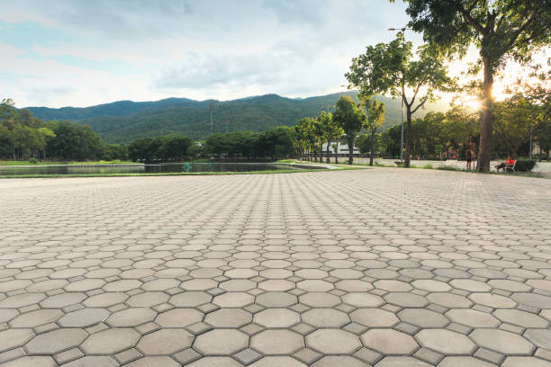 Best Affordable Driveway Pavers  in Wilsons Mills, NC