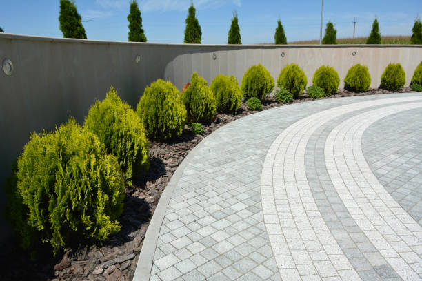 Best Interlocking Driveway Pavers  in Wilsons Mills, NC