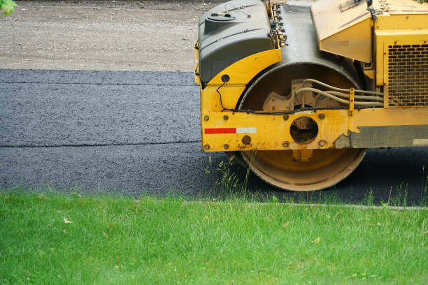 Best Permeable Paver Driveway  in Wilsons Mills, NC